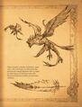 Book-of-Adria-A-Diablo-Bestiary-03.jpg