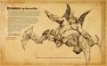 Book-of-Adria-A-Diablo-Bestiary-15.jpg