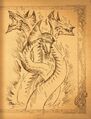 Book-of-Adria-A-Diablo-Bestiary-11.jpg